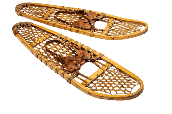 snowshoe