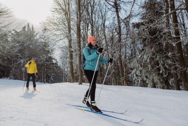 Winter Activities